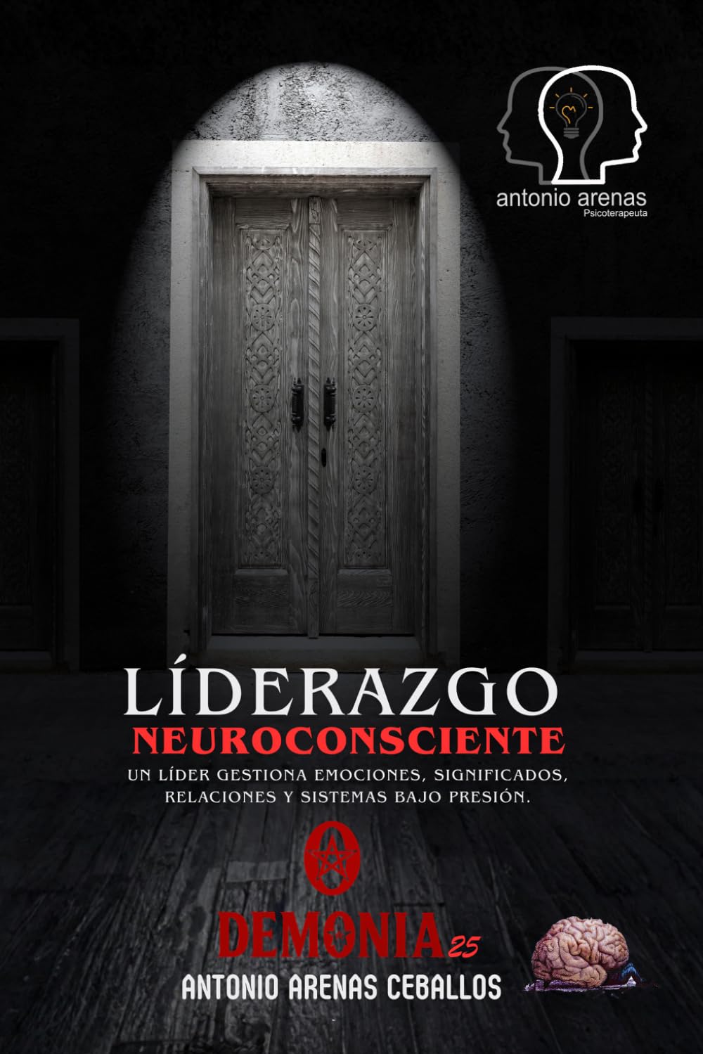 LÍDERAZGO NEUROCONSCIENTE: Un líder gestiona emociones, significados, relaciones y sistemas bajo presión.