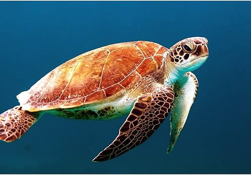 Miniatura 14 de wall26 - Coche rojo vintage en la calle - Mural de pared extraíble | Papel tapiz autoadhesivo grande - 66x96 pulgadas obra de arte 22,obra de arte