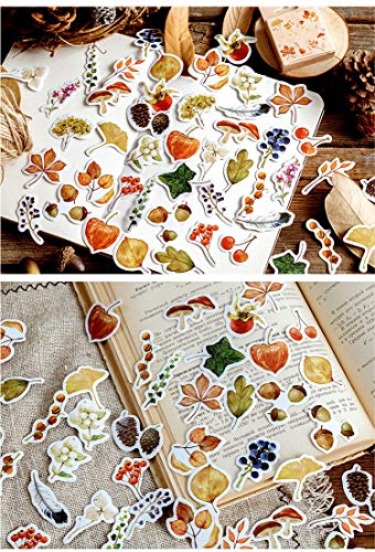 Molshine 274pcs Decorative Stickers- Forest Fruit Plant Flower Series Decals for DIY,Personalize,Bullet Diary Decoration,Laptops,Scrapbook,Luggage,Cars,Books,Sealing -6 Packs