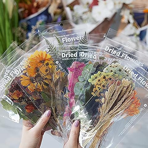 MAXLEAF Transparent Waterproof Stickers Set - 48PCS Vintage Plants Flowers Collection Big Size Waterproof Stickers for Decoration Planners Scrapbook Laptops (Dried Flowers) Cover