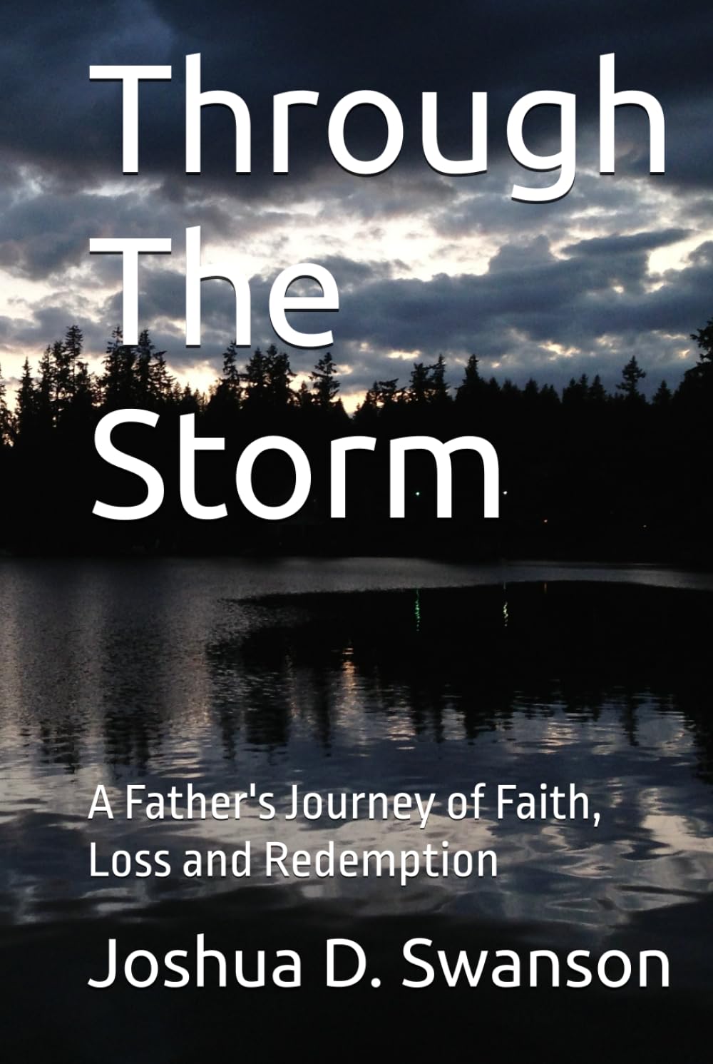 Through The Storm: A Father's Journey of Faith, Loss and Redemption