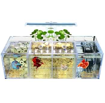 Amazon | ベタ水槽水族館アクリル素材ミニデスクトップ小型魚