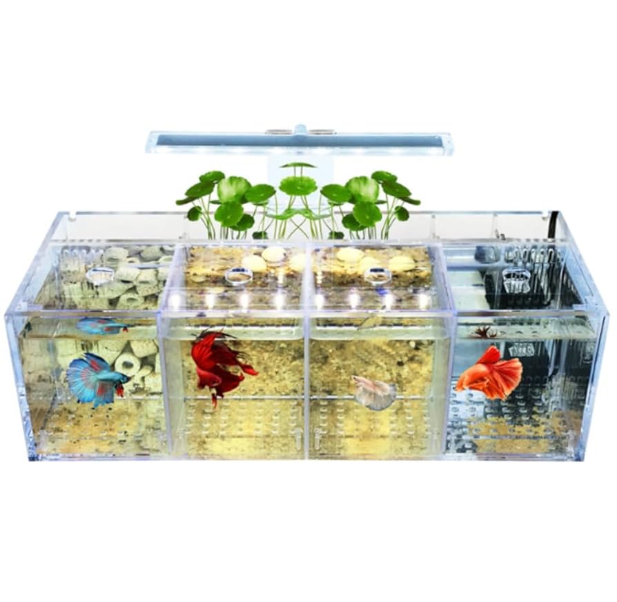 ケンページ　aquarium アクリル画 ケンページ aquarium アクリル画 Amazon.com: 4 Pack Framed