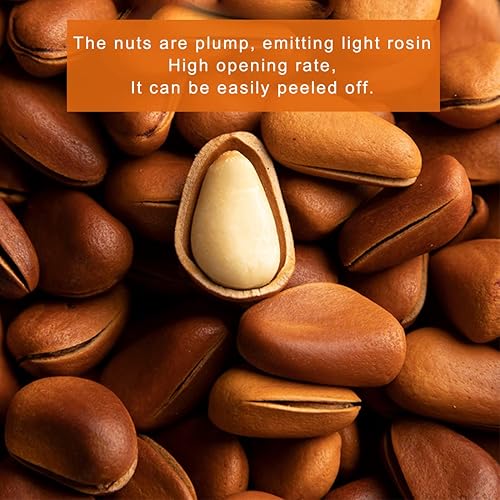 Miniatura 3 de Fruta seca de piños con cáscara de 5.29 onzas, pino original, gránulos grandes de 150, pino rojo, la carcasa tiene grietas para una fácil apertura