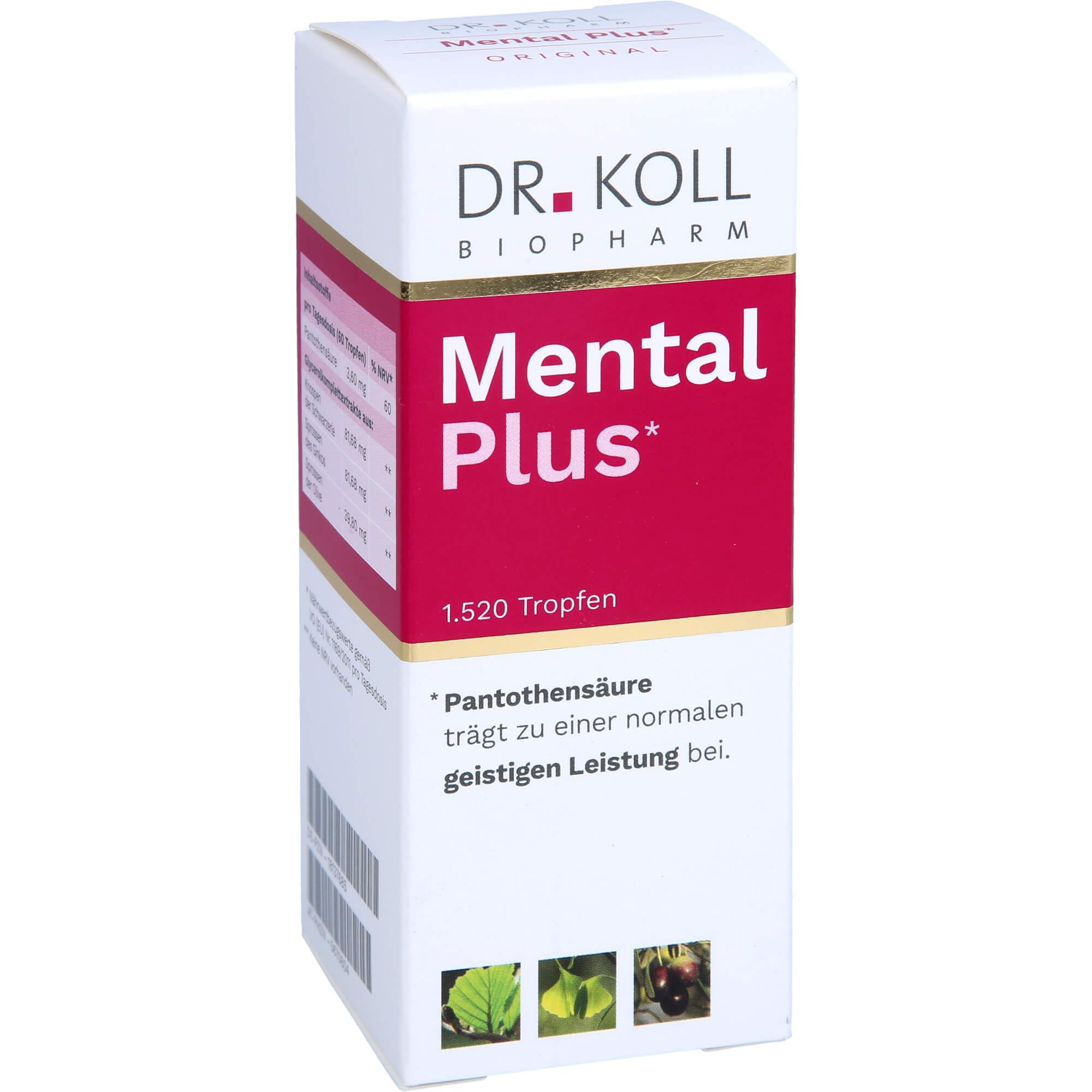 Dr. Koll Mental Plus Tropfen tragen zu einer normalen geistigen Leistung bei, 50 ml Tropfen