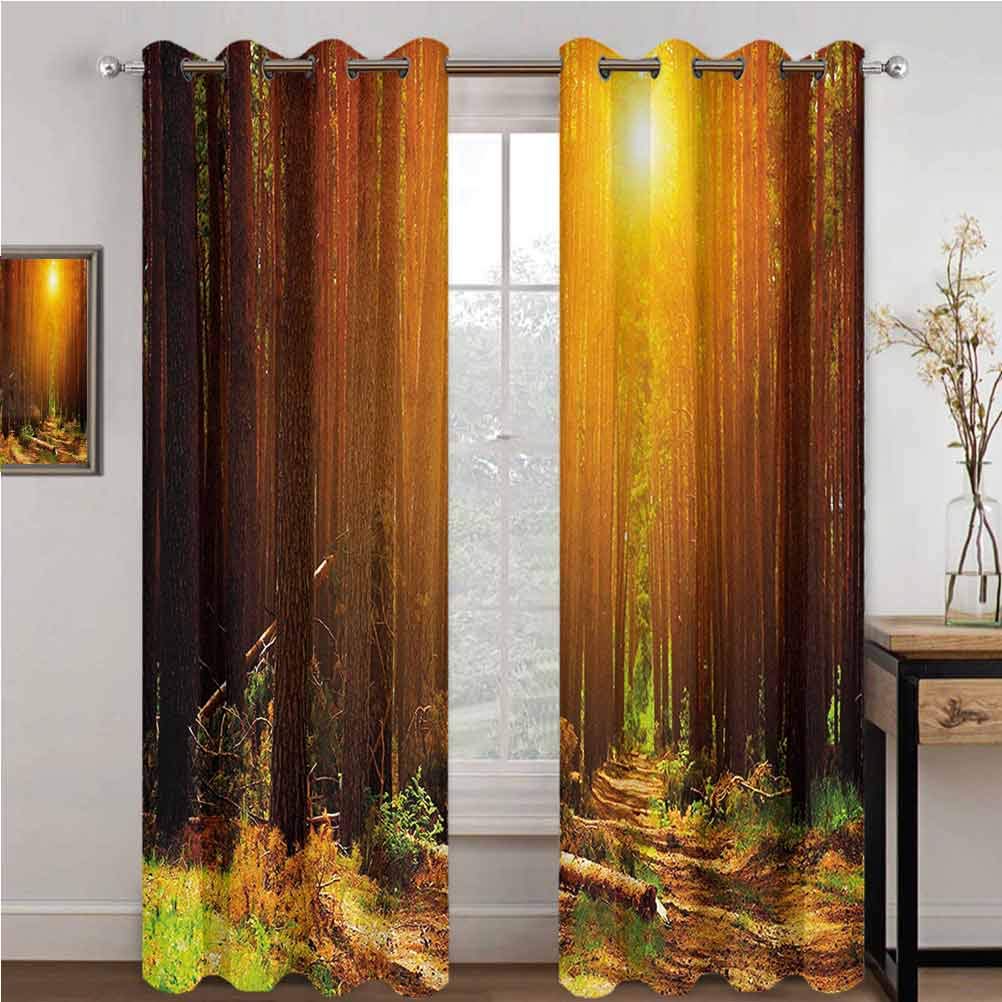 GUUVOR Landscape 99% Blackout Curtains Sunset Dawn Sun Rise Beams in Forest Tree Nature Plants Print Image for Bedroom Kindergarten Living Room W96 x L96 Inch Earth Yellow Dark Orange
