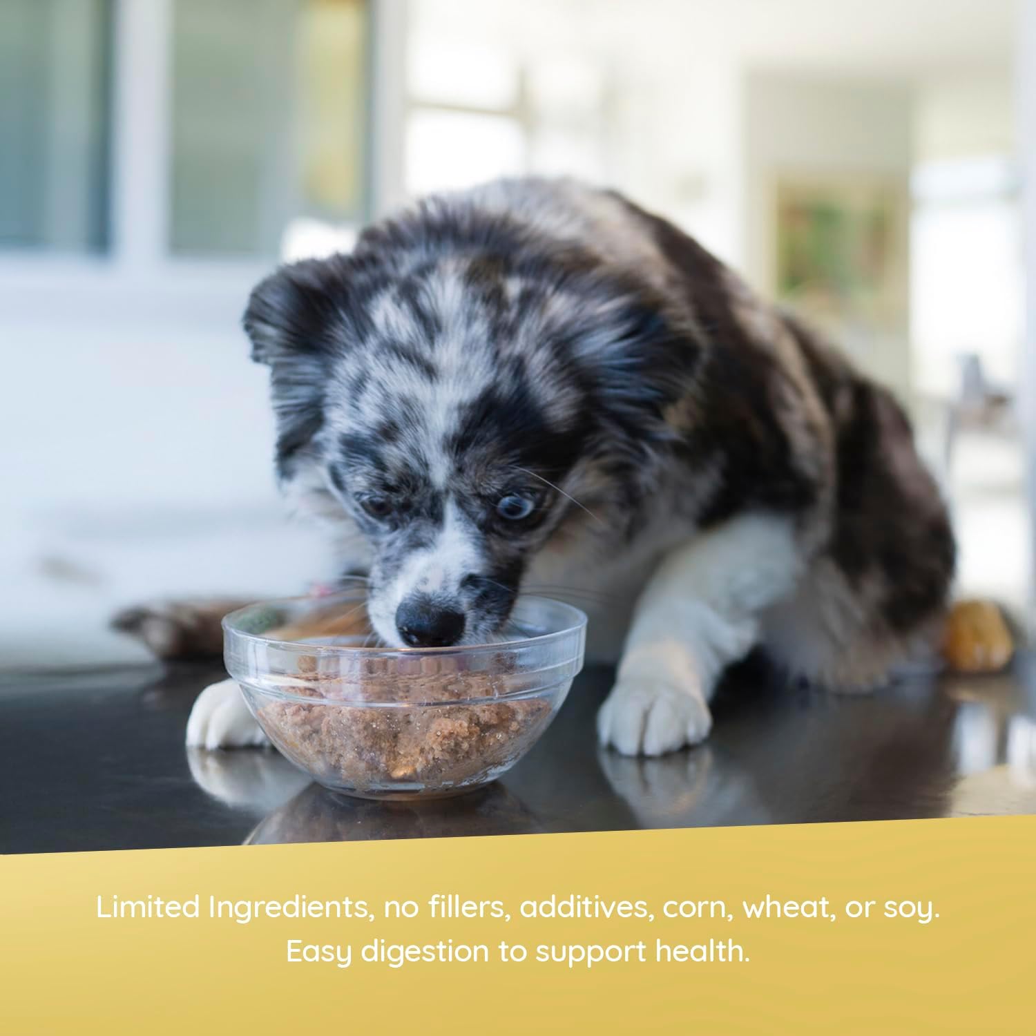 Evanger's Heritage Classic Chicken & Rice Dinner – 12 Count, 20.2 oz Each – Wet Dog Food with Chicken and Rice – Gluten-Free Loaf Style Meal – Complete and Balanced for All Life Stages