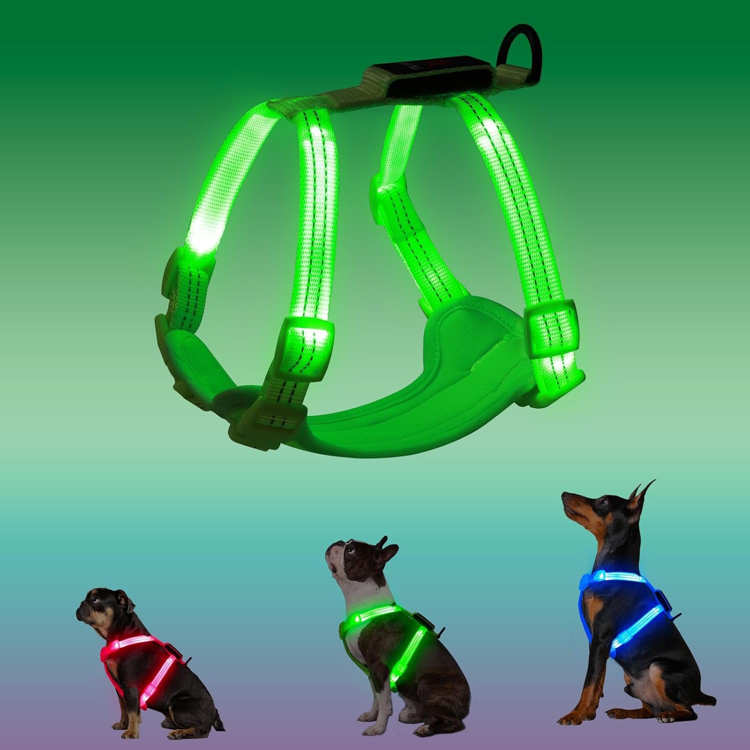 PZRLit Rechargeable Light Up Dog Harness for Small Dogs, No-Pull LED Dog Vest Harness, Glow in The Dark Puppy Harness with Reflective Strips, Flashing Steady Light for Night Walking Safety (green)