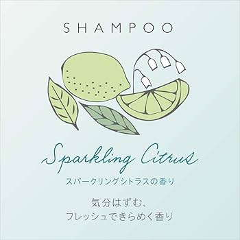 アンドアンド　シャンプー and and / シャンプー＆トリートメント ポンプペアの公式商品