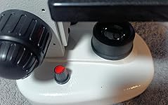 Review Image by Soon Luck Sing Ding Soon Luck Sing Ding