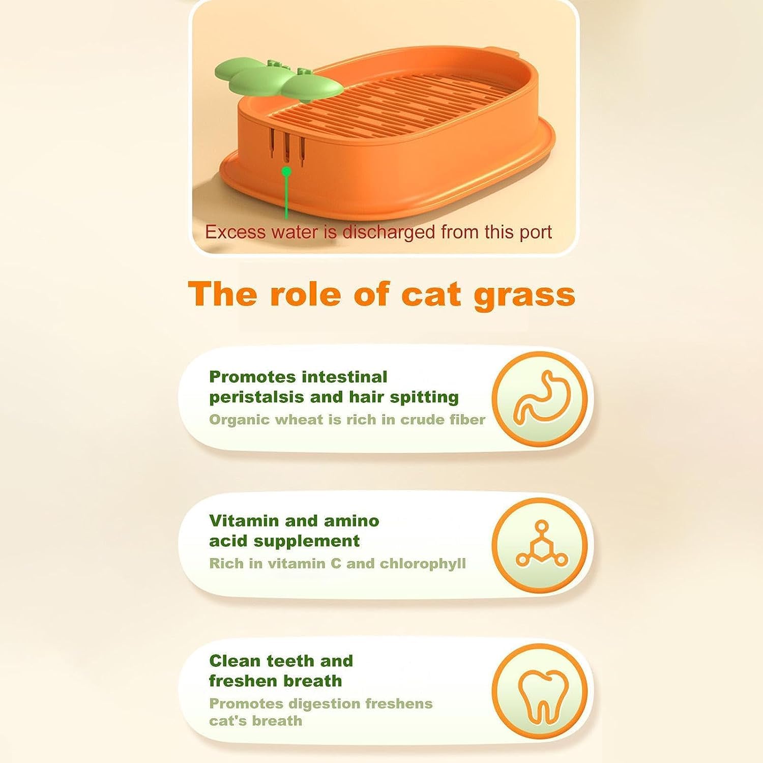 2 Piezas Caja hidropónica para Gatos ,Macetas Hidropónicas para el Cultivo de Menta para Hierba para Gatos