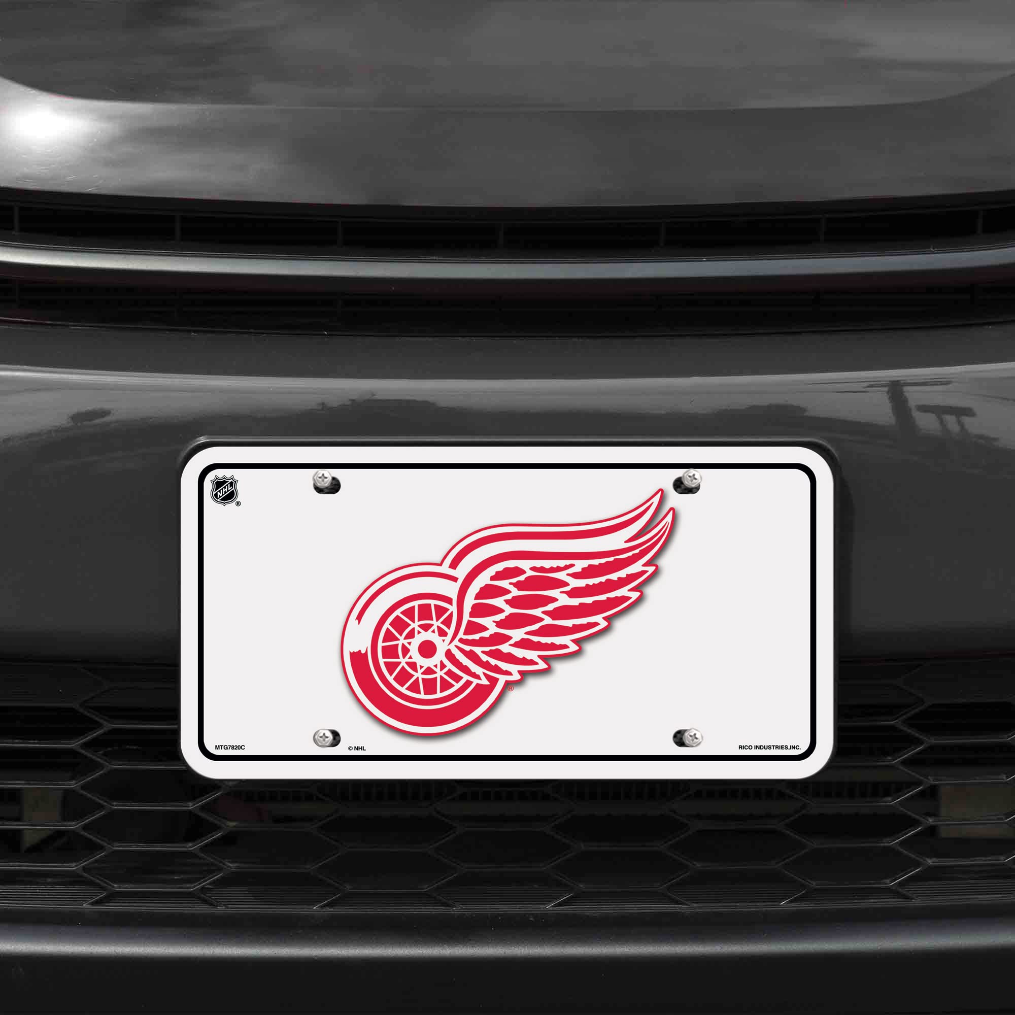 Rico Industries NHL Detroit Red Wings White Metal Auto Tag 8.5