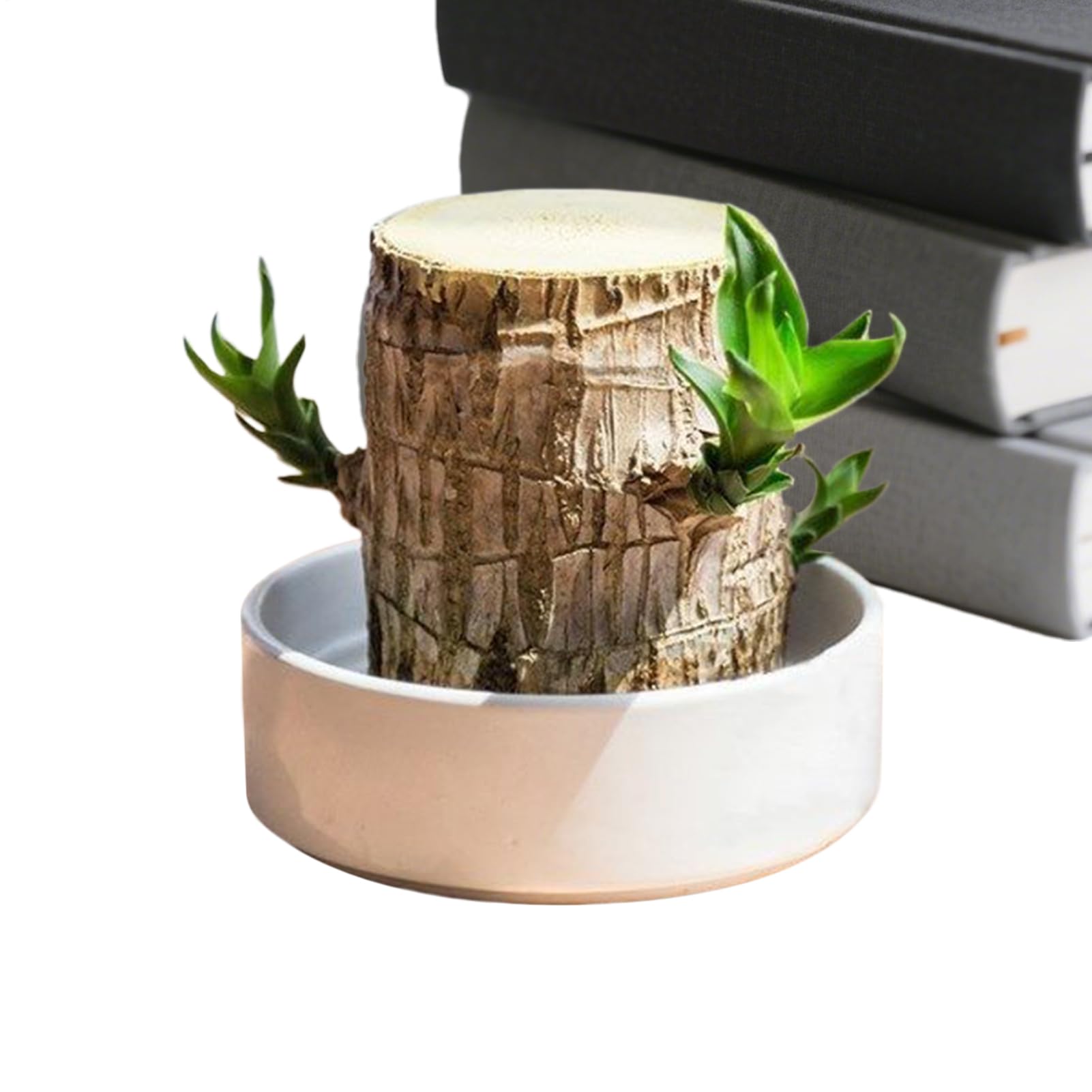 Arbre brésilien contre le stress de intérieur bois de bonheur cuisine