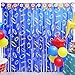 Cartoon Hedgehog Birthday Party Decoration, 2 Pack Hedgehog Party Backdrop Photo Booth Prop, Blue with Gold Ring Print Fringe Curtains Tinsel Photo Streamers for Hedgehog Theme Party Decor Supplies
