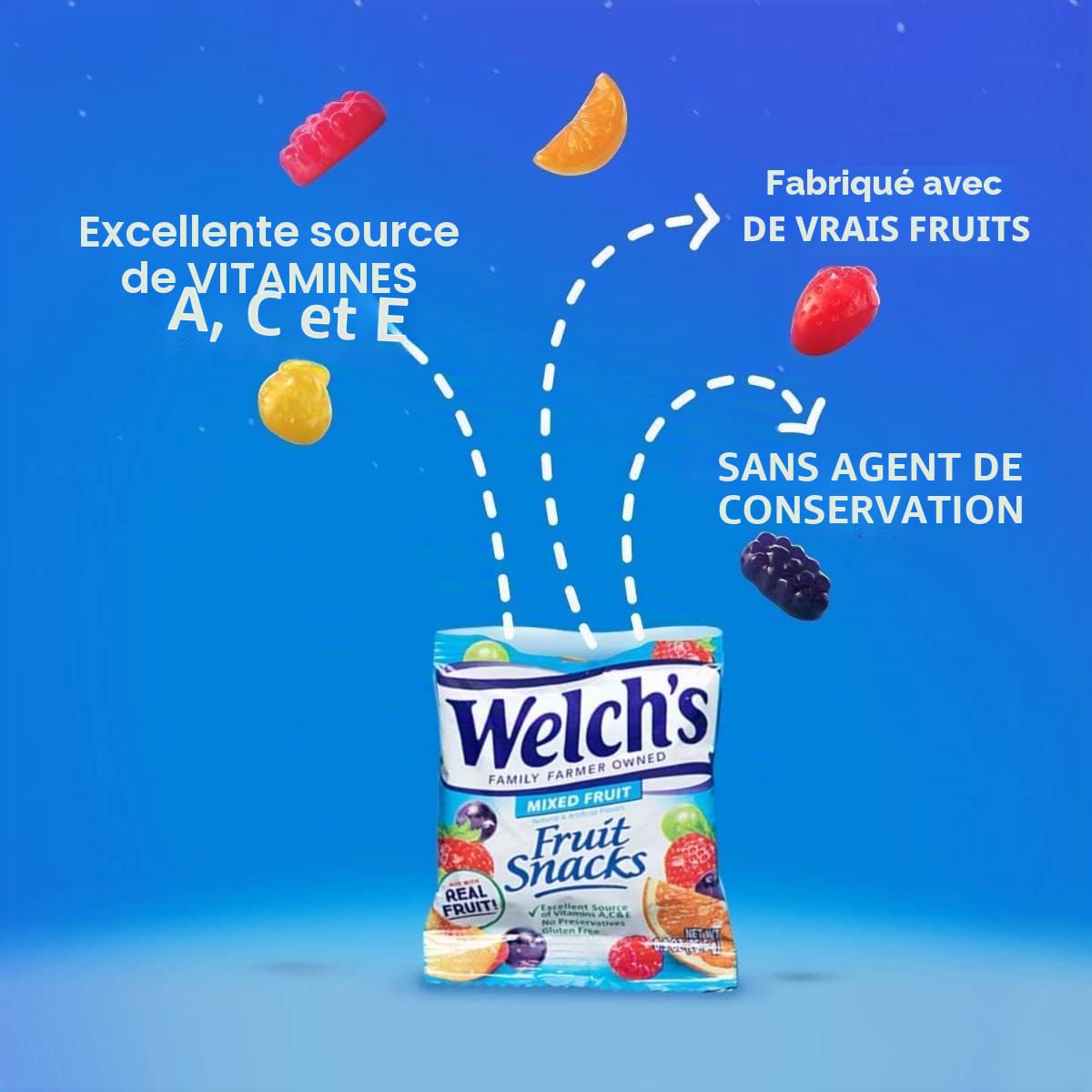 Welch's Lot de 80 sachets de fruits mixtes 25 g x 2 kg