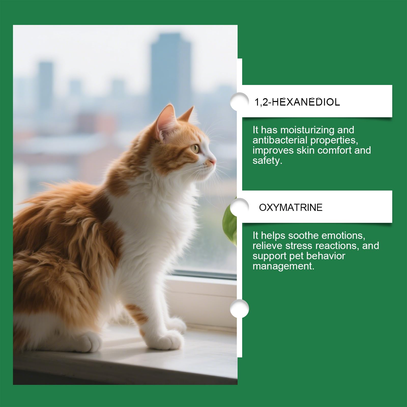 Spray Disuasivo para Gatos,Spray Antiarañazos Gatos,Corrección De Comportamiento De Mascotas,Protege Sofás y Mobiliario,100ML