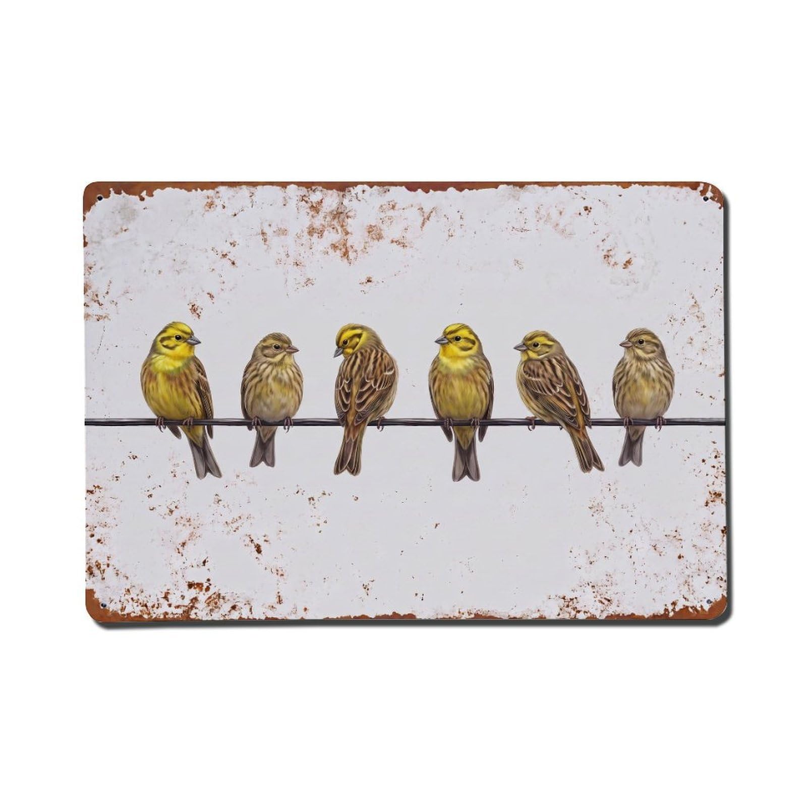 Vintage Retro Birds Yellowhammer Metal Tin Sign