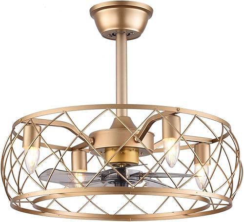 VPABES Ventiladores de techo dorados de 20 pulgadas con control remoto ventiladores de techo de metal con jaula de granja con luces 5 cuchillas
