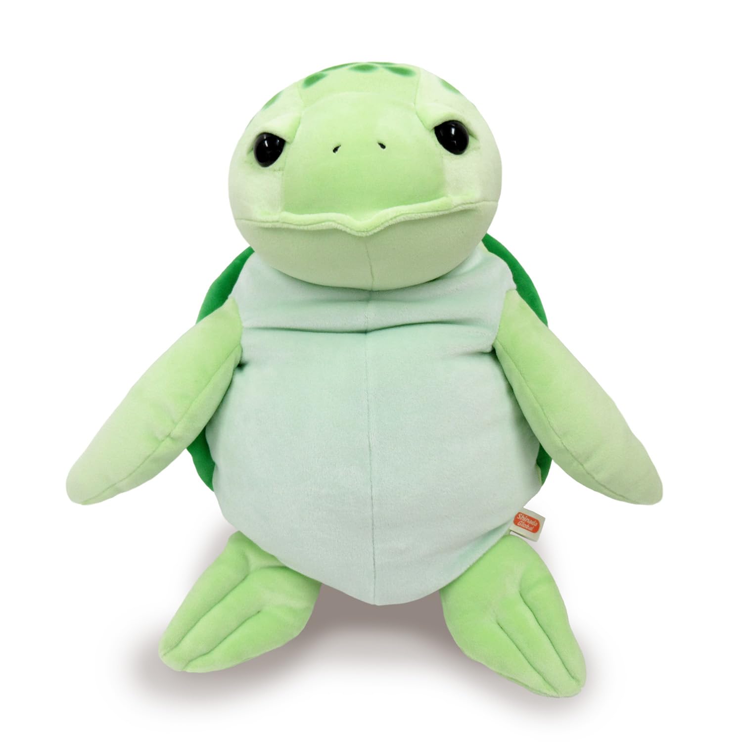緑色のカメのぬいぐるみ 緑色のカメのぬいぐるみ Amazon.co.jp: 30 Cmリリーフ緑の亀の