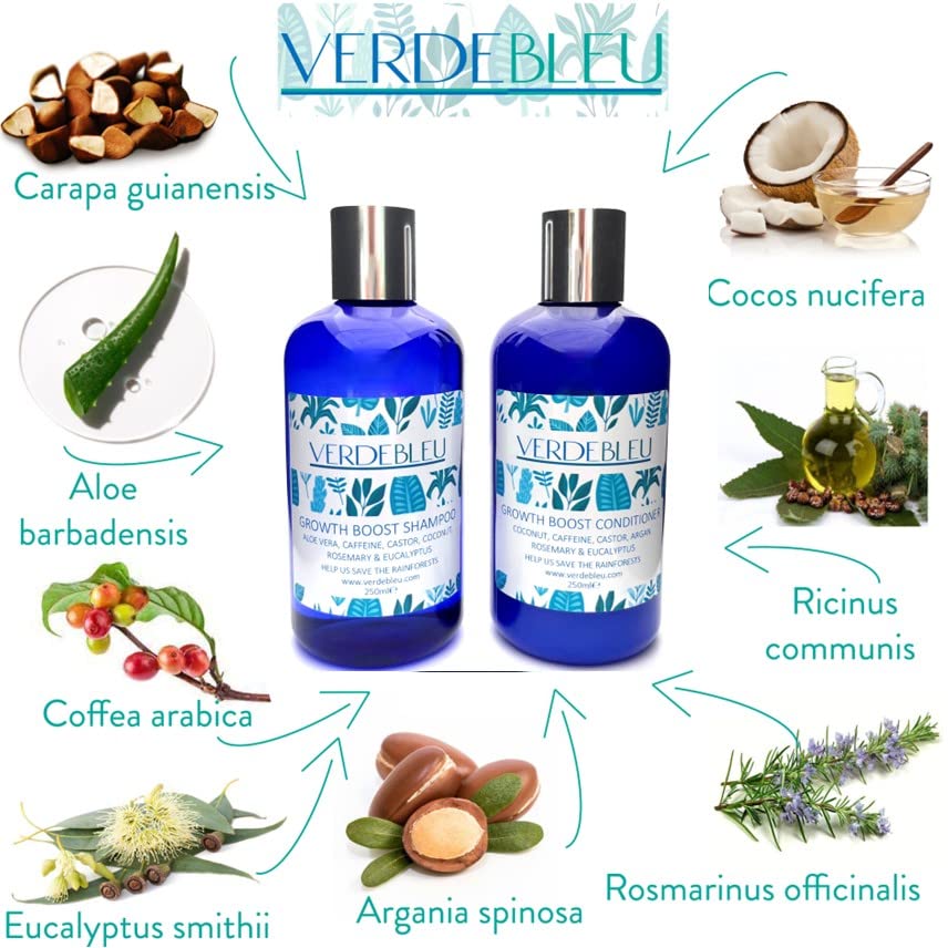Verdebleu, 99% Natural Growth Boost Conditioner: Caffeine, Coconut, Rosemary, Eucalyptus - Image 2