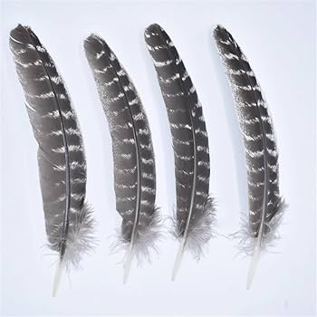 8月20日削除！ BIRDS OF A FEATHER 142 🌙