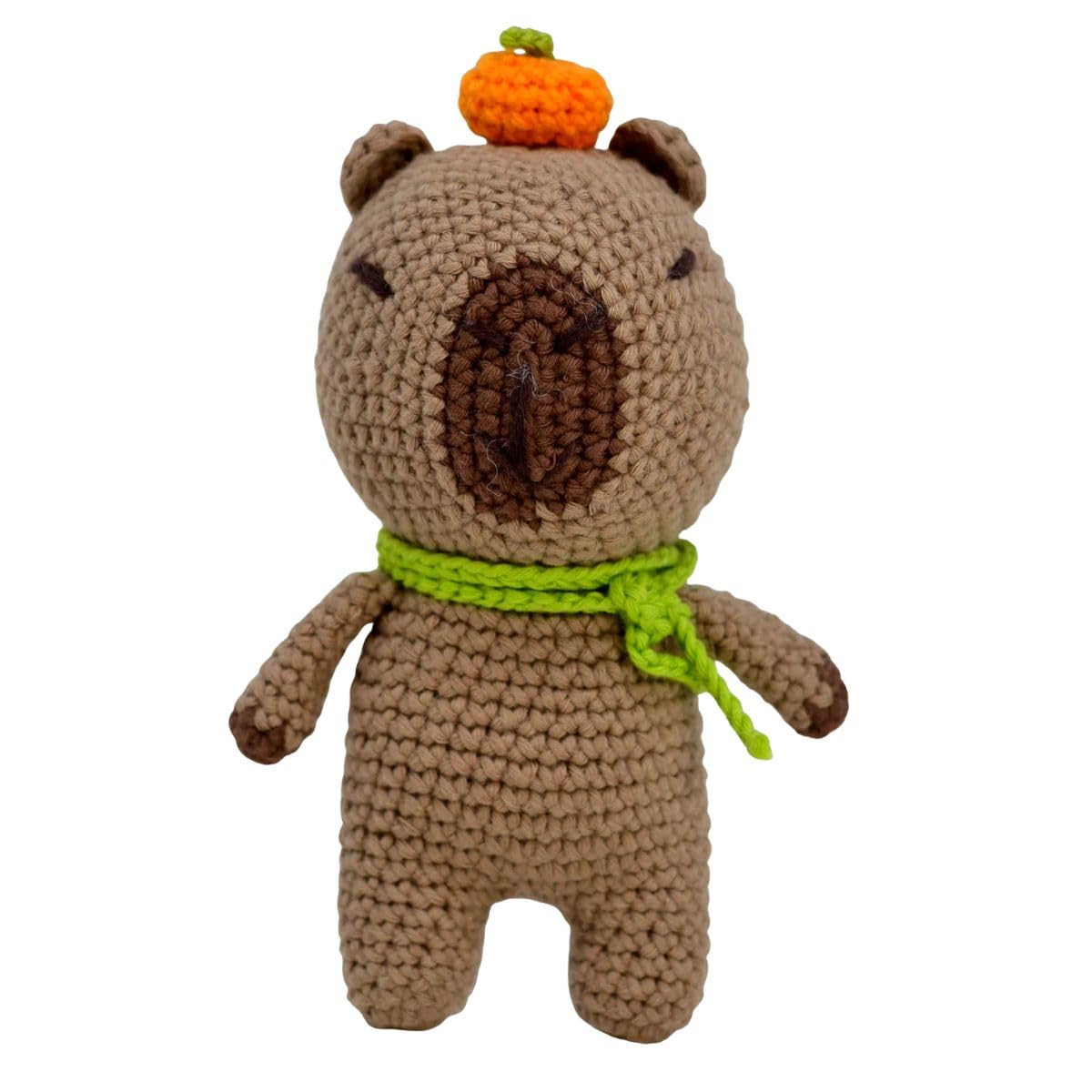Knitty Critters Pouch Pals Crochet Kit – Caroline Capybara| Beginner-Friendly Crochet Craft Kit with Recycled Yarn