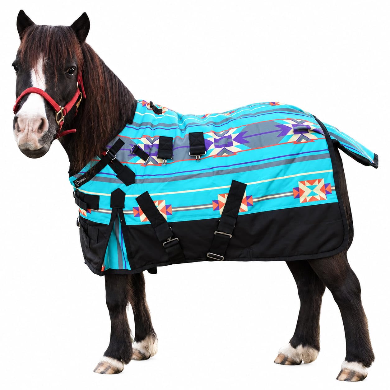 CHALLENGER 1200D Miniature Weanling Donkey Pony Horse Foal Winter Blanket