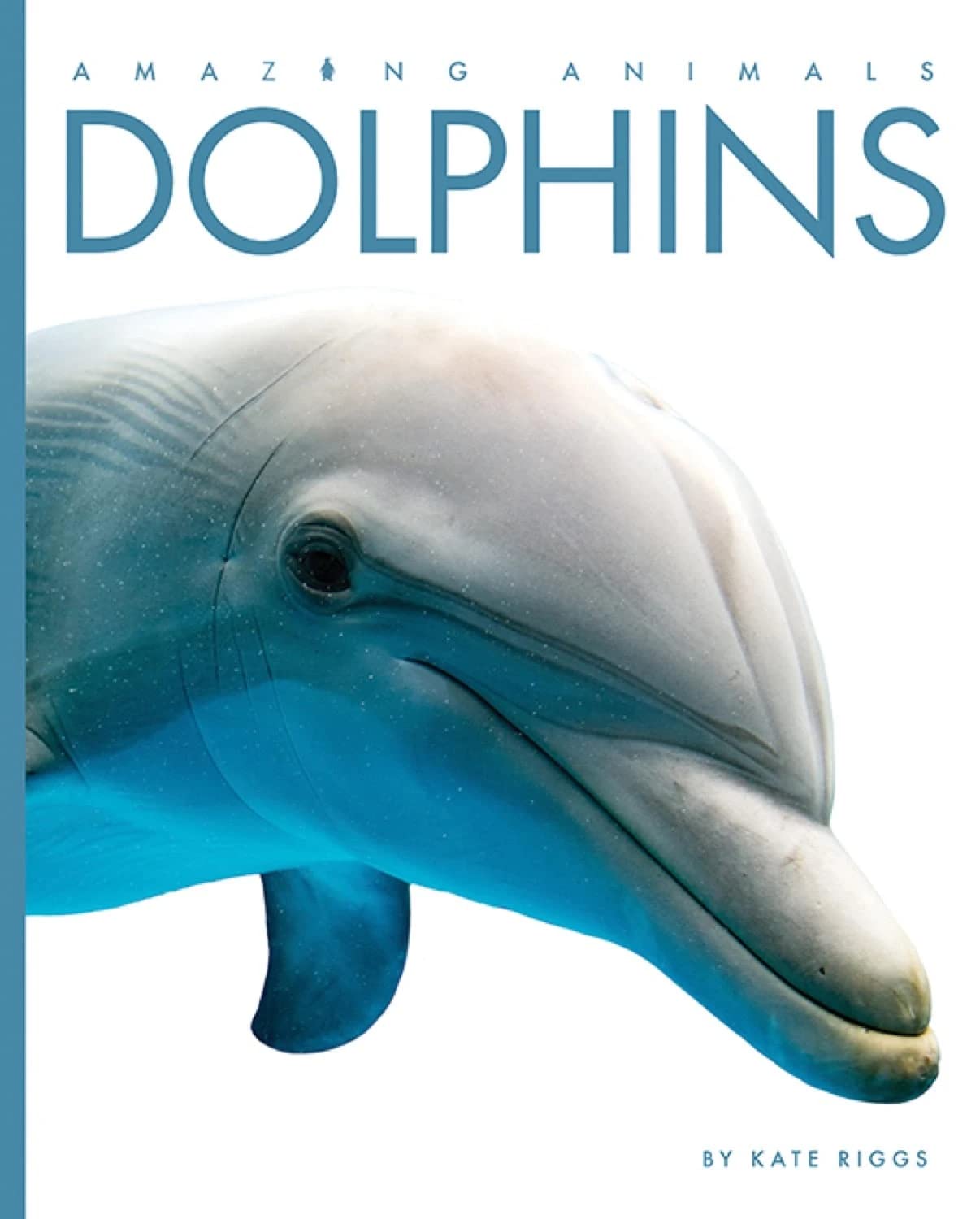 Dolphins (Amazing Animals) Paperback – Illustrated, February 18, 2020