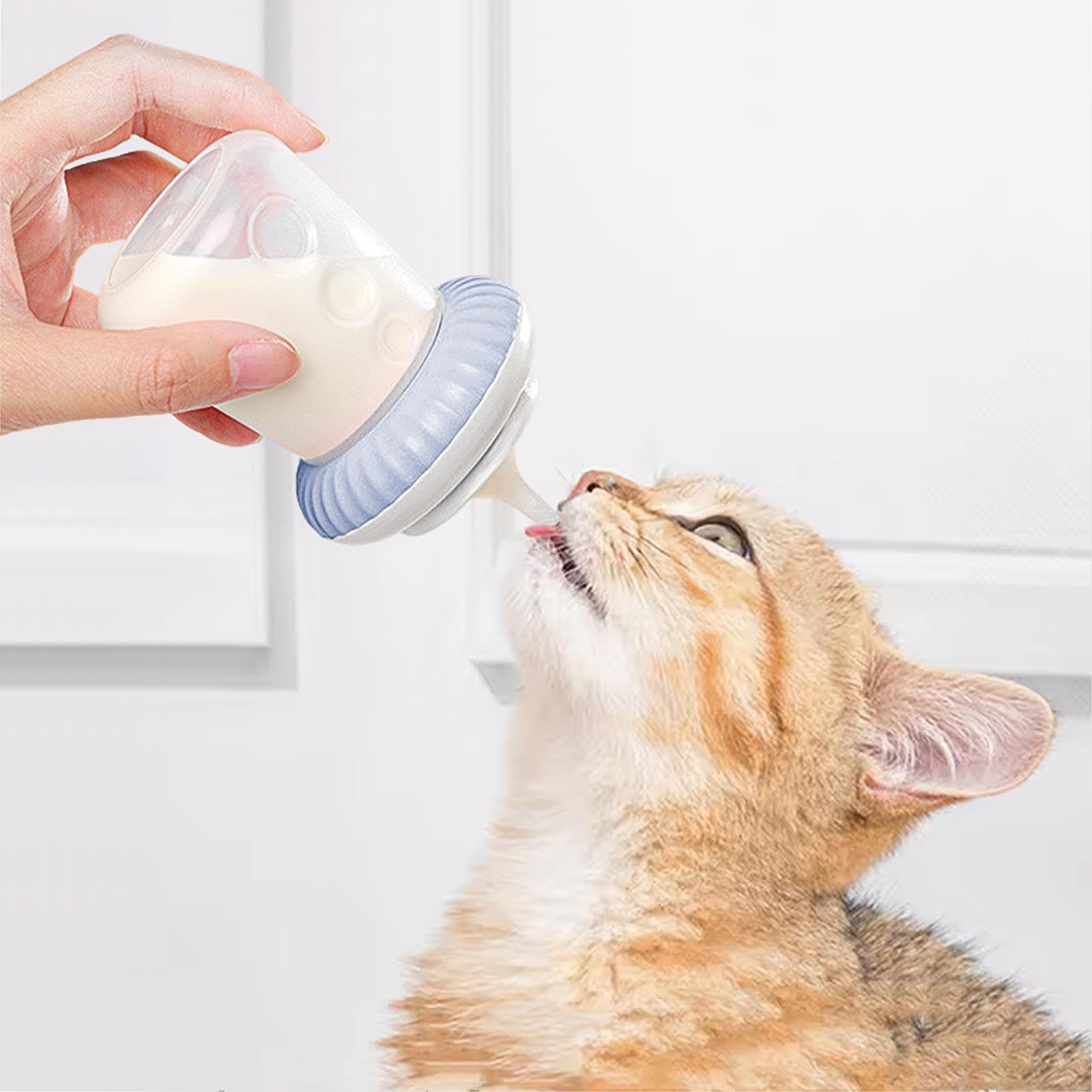 Biberón for Gatitos - Biberones ergonómicos con tetina de Silicona extraíble y biberón Lactancia(Blue)