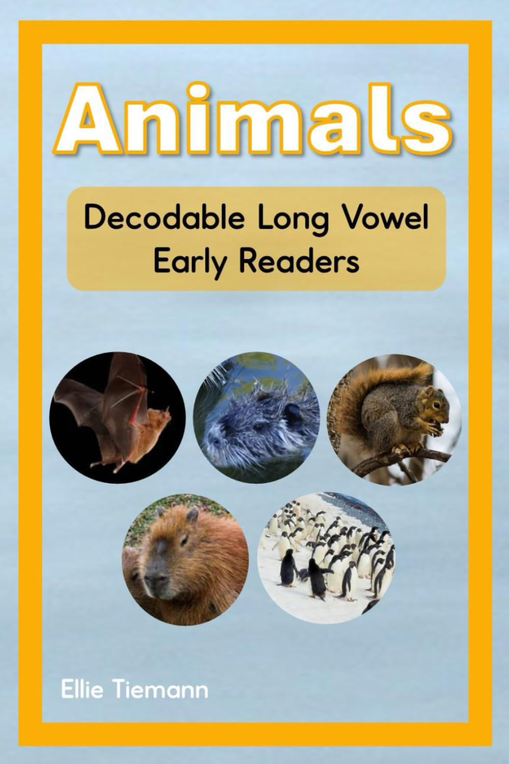Animals: Nonfiction Decodable Long Vowel Easy Readers (Nonfiction Decodable Books)