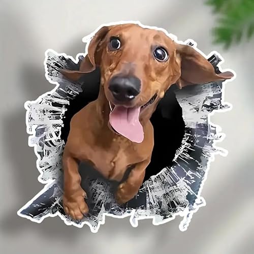 XebJ[ яo _bNXth ԗp V[ 19.6cm F Ck  rj[ h  CeA p m[gp\R t8827