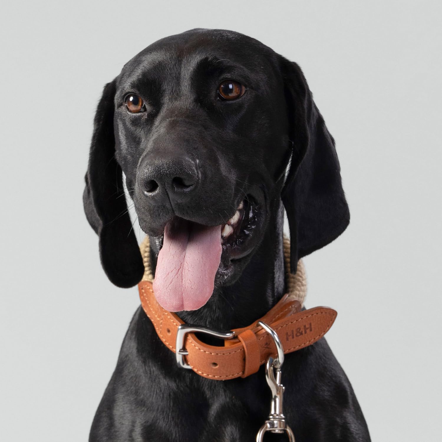 HUGO & HUDSON x Hackett - Collar de Cuerda para Perro con Cuero coñac con Hebilla de Metal Ajustable, Color Natural, S