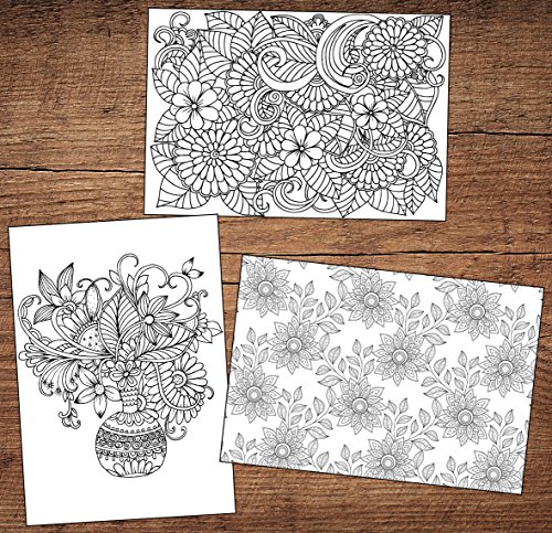 12 fogli da colorare, floreale saluto/compleanni