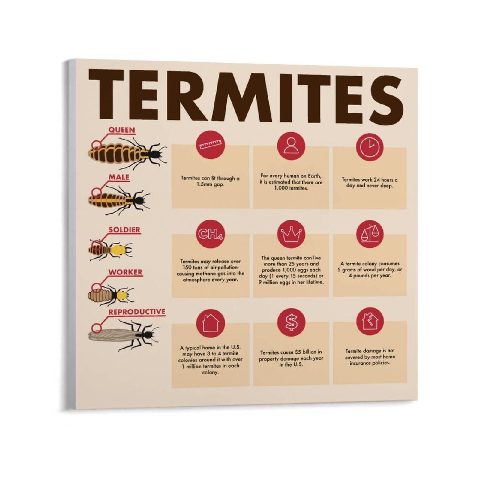 IDGTTLDF Wood Destroying Insects Poster Termite Guide Canvas Wall-Art Print for Entomology Student Office Laboratory Unframed,12x18inch(30x45cm)