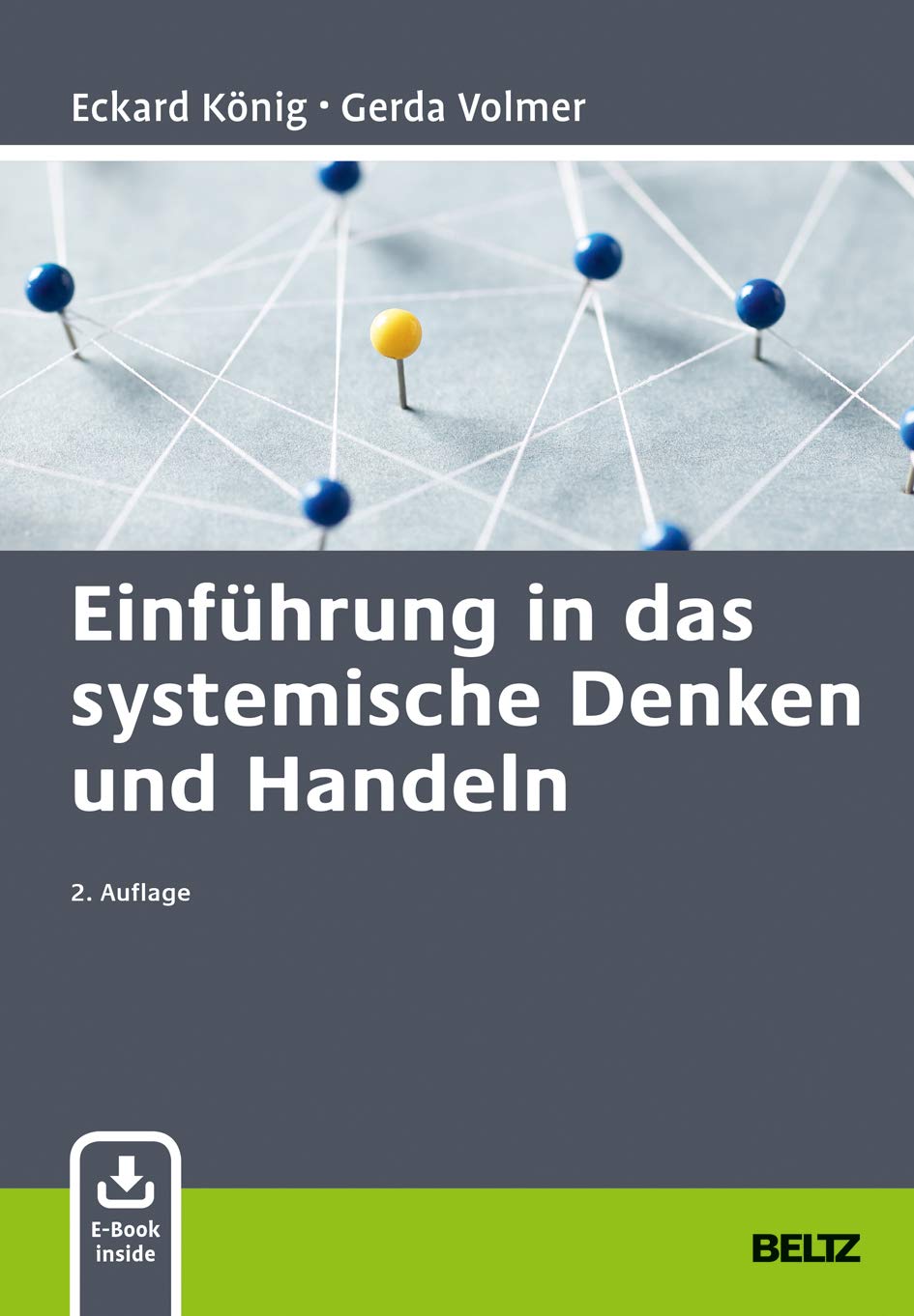 Einführung in das systemische Denken und Handeln: Mit E-Book inside
