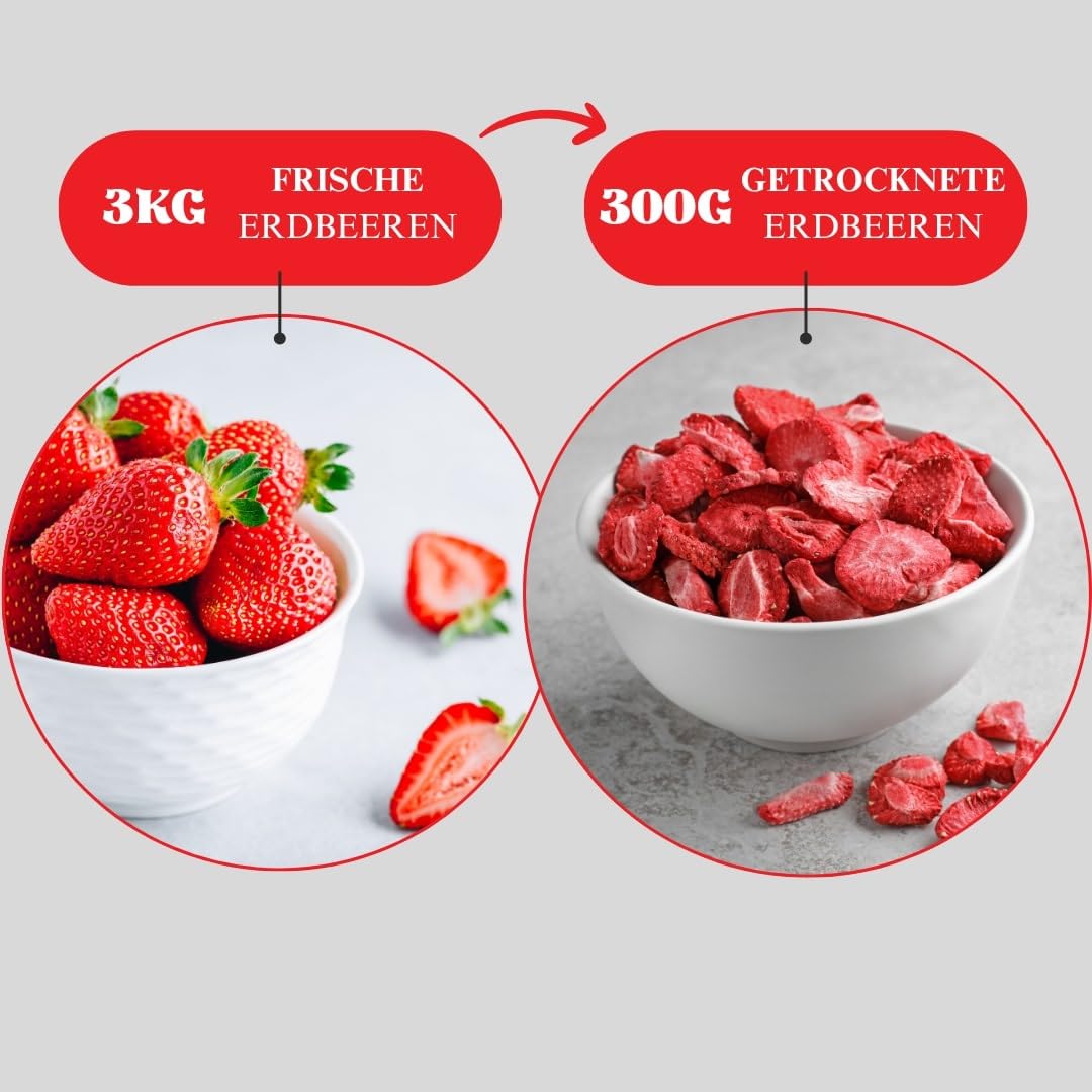 VITAVEGGY gefriergetrocknete Erdbeeren in Scheiben 6x300g gefriergetrocknete Früchte im wiederverschließbaren Eimer, Abfüllung in Deutschland,100% Frucht, für Smoothies, Müslis und Bowls