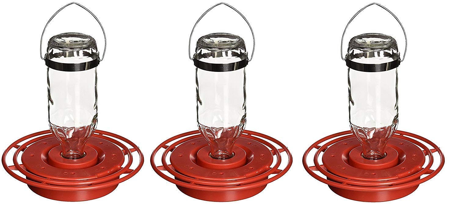 Birds Choice Best-1 16oz. Hummingbird Feeder (Pack of 3)