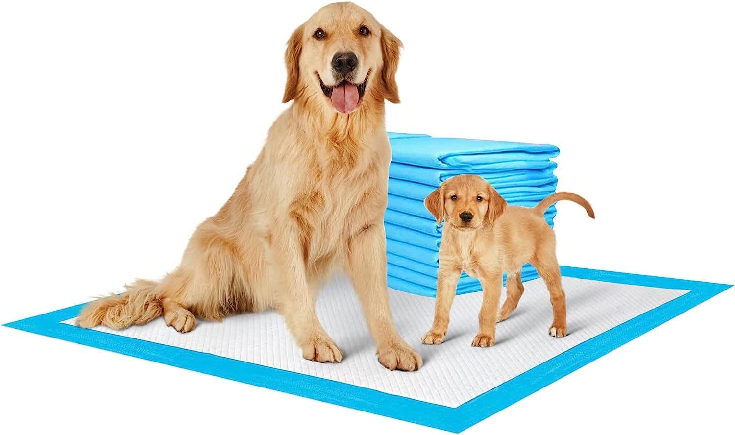 See full amazon price history chart for Generic pets pee pads for puppy kitty dogs and cats (60x90cms) Pack of 20 pcs Colour may Vary Generic pets pee pads for puppy kitty dogs and cats (60x90cms) Pack of 20 pcs Colour may Vary (B0C6GPXK55) Amazon Price History, Amazon Price Tracker