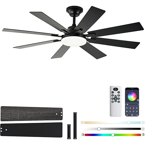 Ceiling Fans with Lights, 52 Inch Ceiling Fan with Light and Remote Control, Reversible DC Motor, 3CCT, Dimmable, Timer, Noiseless, Black Ceiling Fan for Bedroom Living Room, Indoor/Outdoor Use