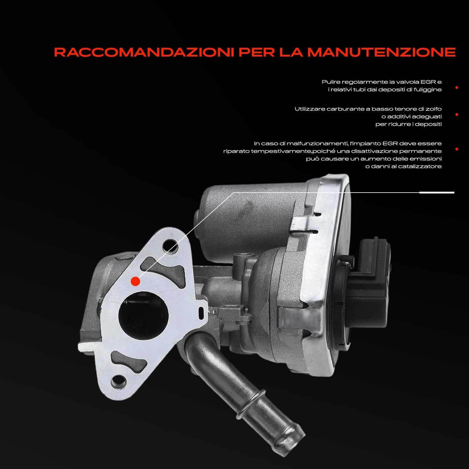 Frankberg Valvola EGR a 5 Poli 8C1Q9D475AA | Compatibile con: Pianale/telaio Transit FF FM FN, Transito Tourneo, Transit Box FA, Autobus di linea FB FC FD FS FZ