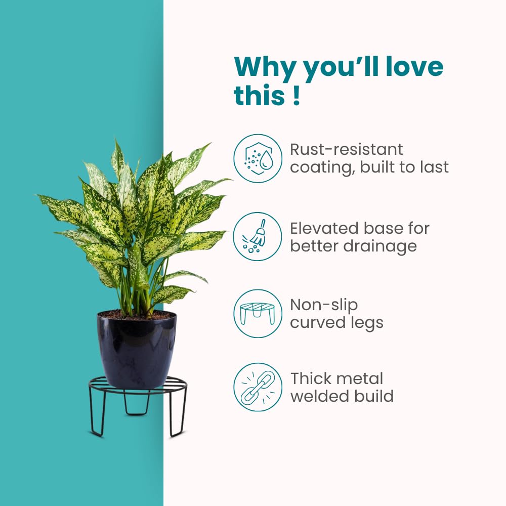 Black Metal Plant Stands - 5 Pack -4