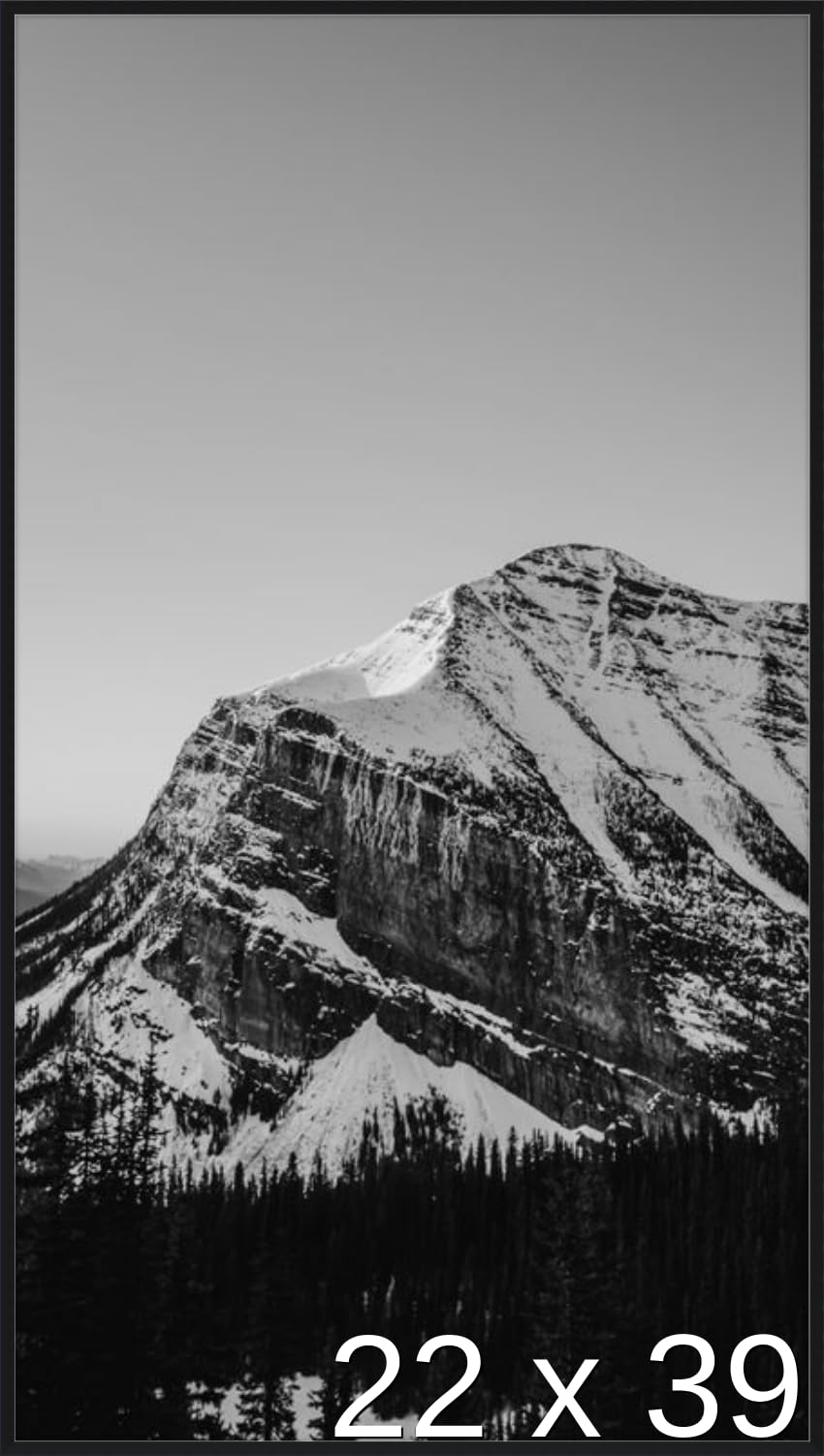 Frame It Easy 22 x 39 Satin Black Metal Frame (Ashford)