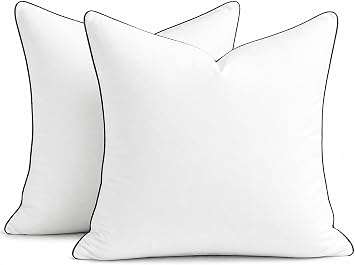 puredown 20x20 Pillow Inserts Set of 2, Fluffy Overfilled Down Alternative Decorative Pillows, Soft Plush Throw Pillows for Couch, Sofa, Bed and Home Decor