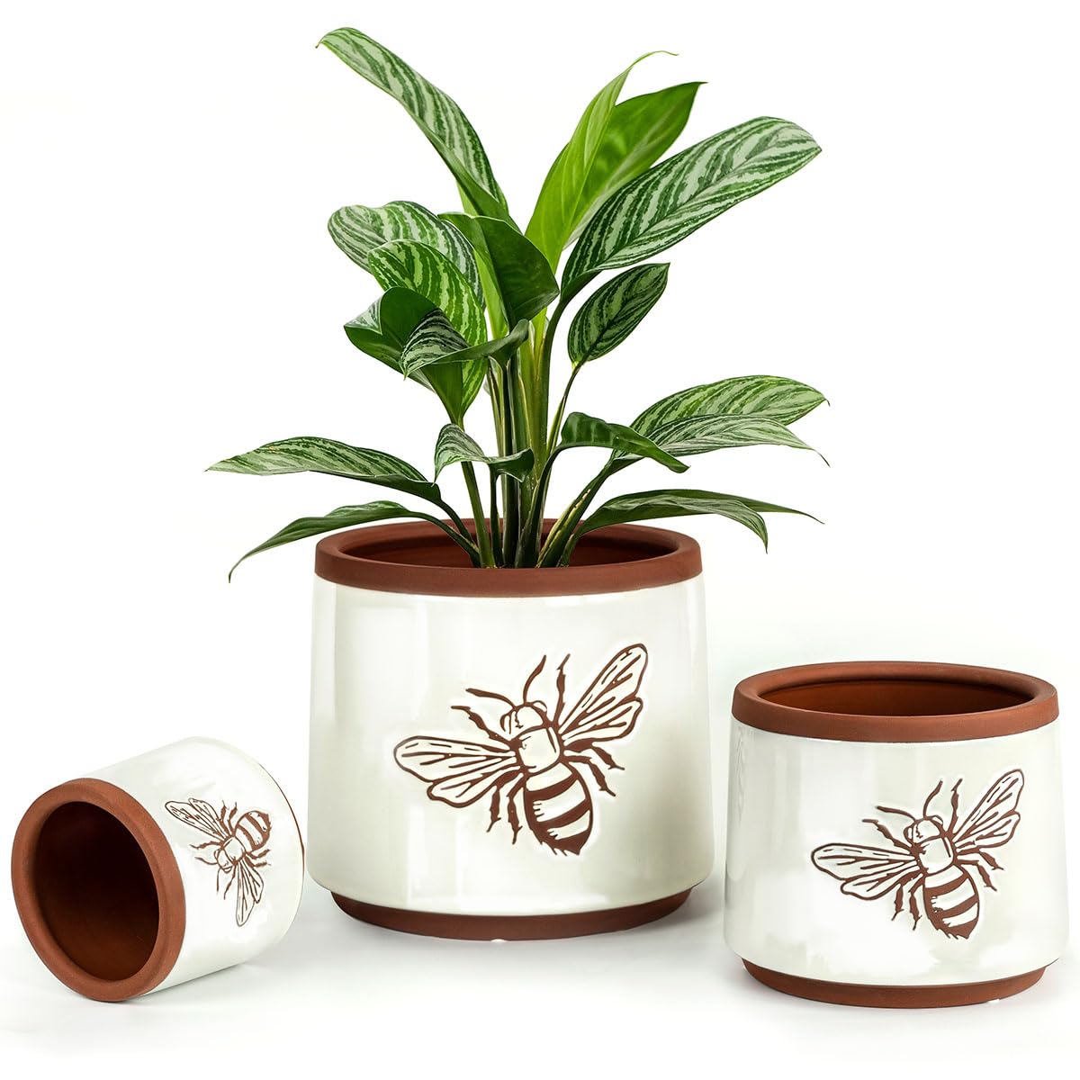 YBX Terracotta Pot Set