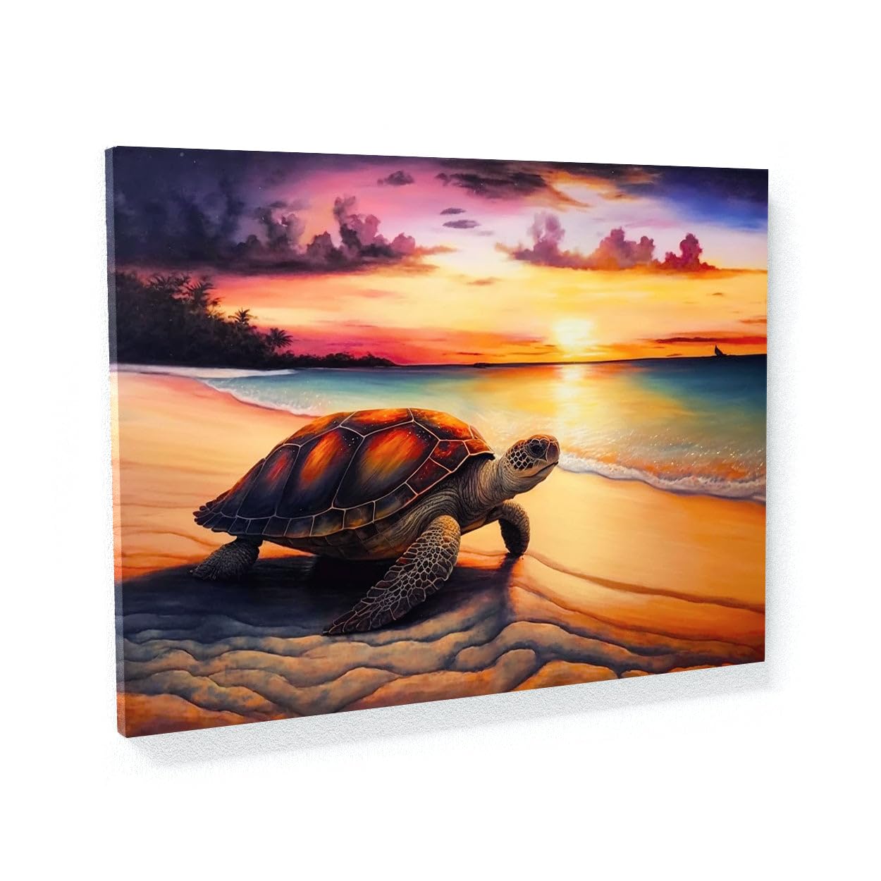 Amazon.com: Sense Canvas Turtle Atmospheric Sunset 8 Canvas Art
