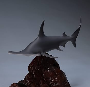邦楽 Hammer Head Shark / vase by the window 41HOwT5xNgL._UF894,1000_QL80_.jpg