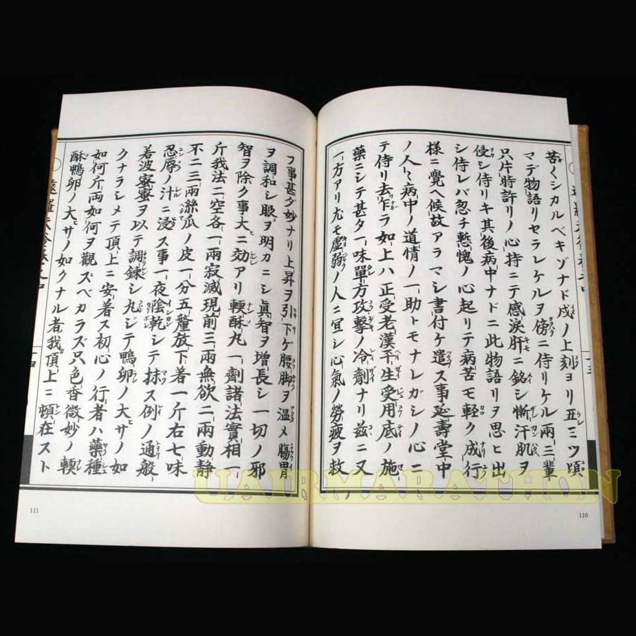 決算特価中　希少　最後★復刻版 白隠禅師（白隠慧鶴）図★高さ：約166cm Amazon.co.jp: 遠羅天釜 おらてがま 白隠慧鶴禅師 白隠禅師生誕