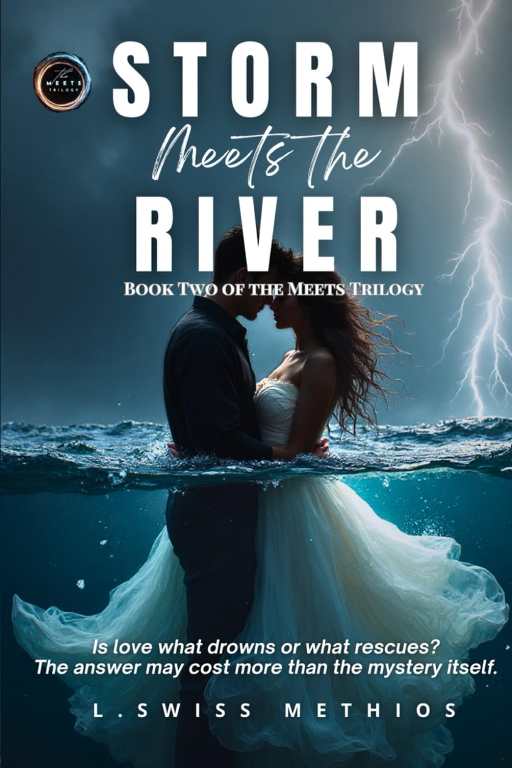STORM MEETS THE RIVER: A Dark Romance Crime Thriller (THE MEETS TRILOGY)