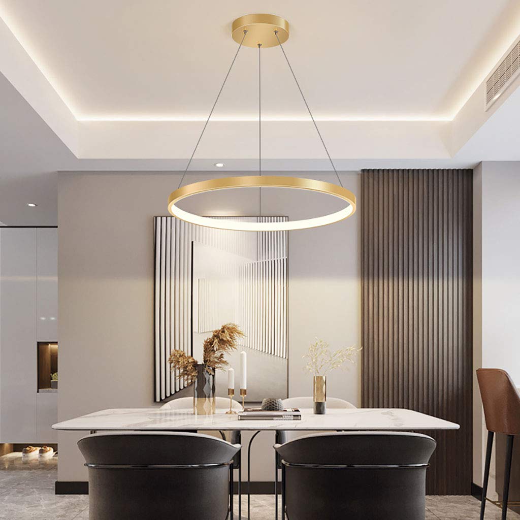 LED Pendant Light Living Room Lamp Chandelier Dimmable with Remote Control Pendant Lights Modern Dining Table Lamps Aluminum Round Acrylic Lighting Ceiling Fixture,Gold,1lap 40cm