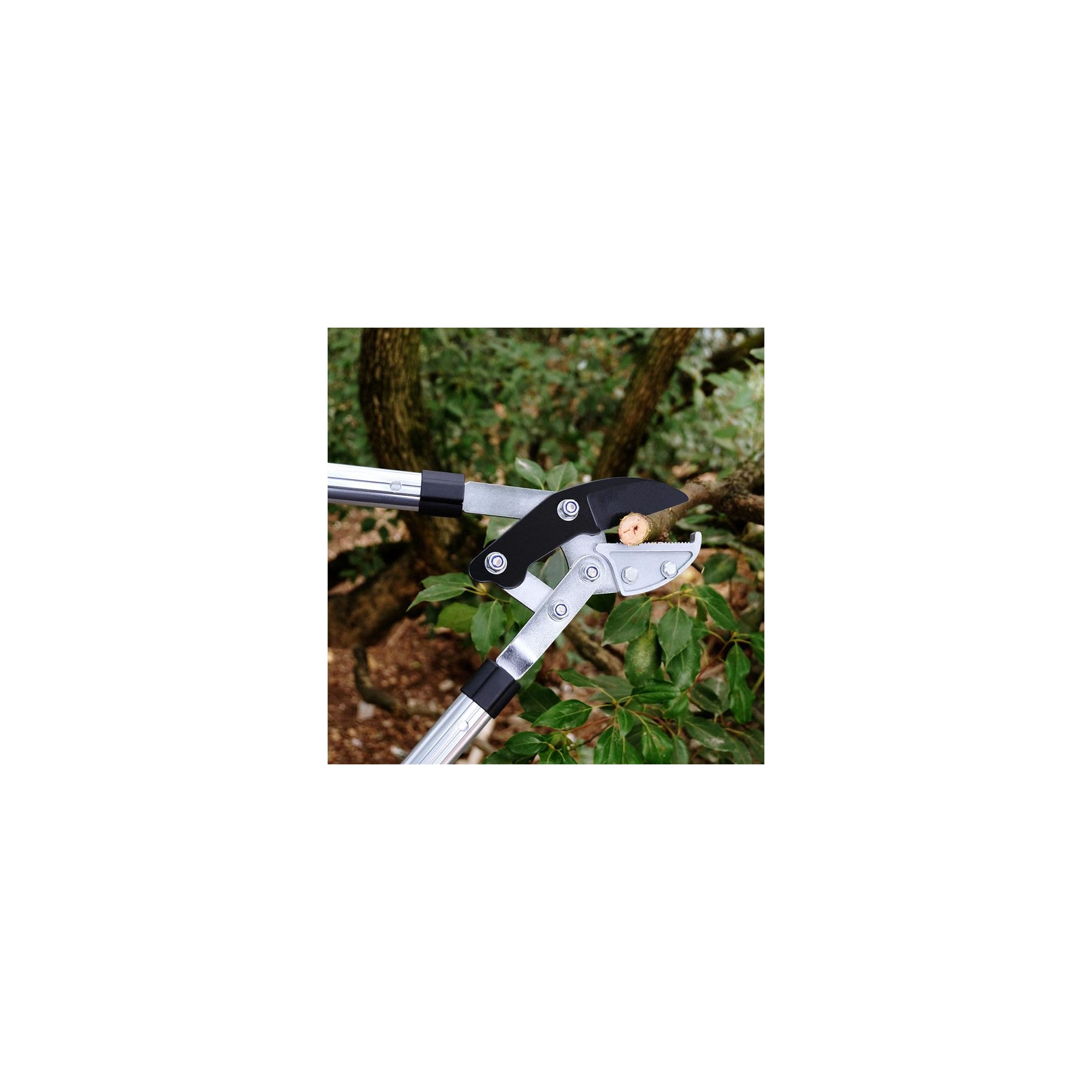 Coupe branche lame enclume - Suan - Manche télescopique - Dimensions : 87 x 34 cm